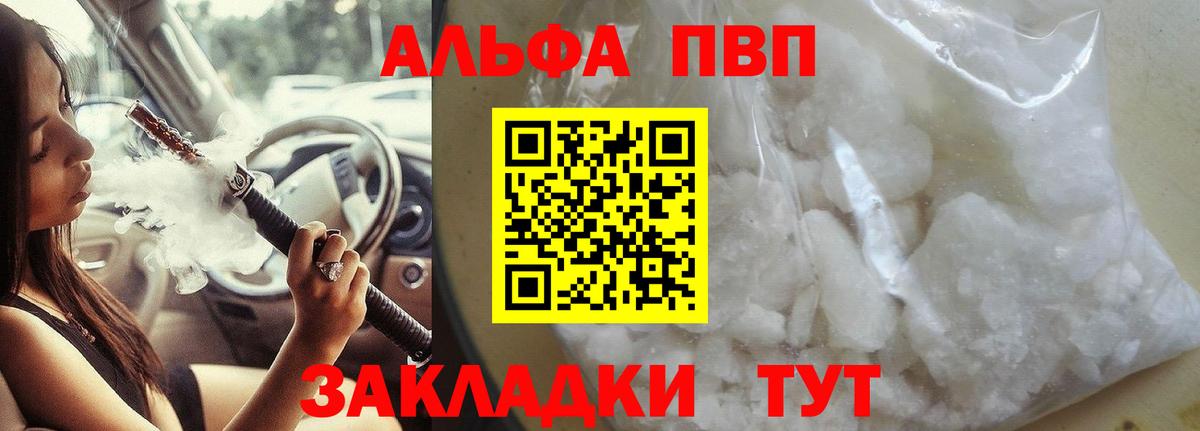закладка  Вход с VPN  Альфа ПВП СК  А ПВП  Надым  Альфа ПВП крисы CK 