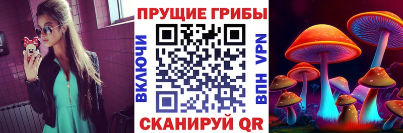 где купить наркотик  Надым  Псилоцибиновые грибы GOLDEN TEACHER 
