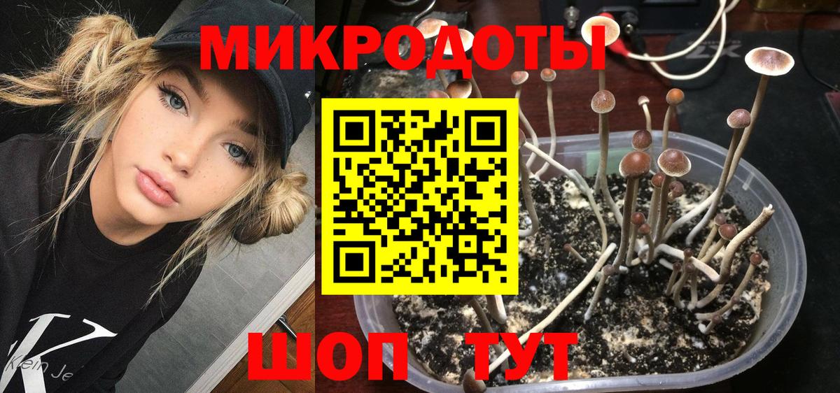 Псилоцибиновые грибы прущие грибы  Надым 